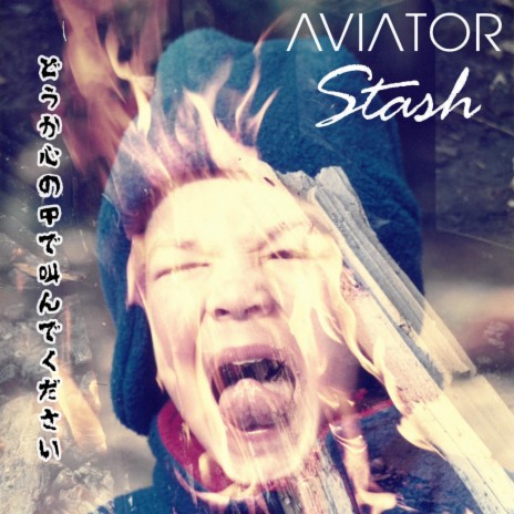 The Aviator Stash