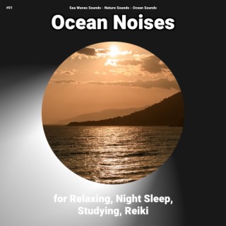 #01 Ocean Noises for Relaxing, Night Sleep, Studying, Reiki