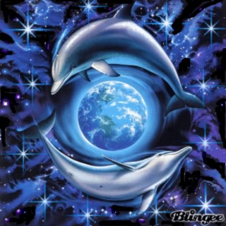 Dolphin 2