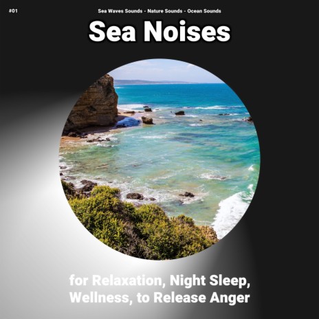 Meditative New Age ft. Sea Waves Sounds & Nature Sounds