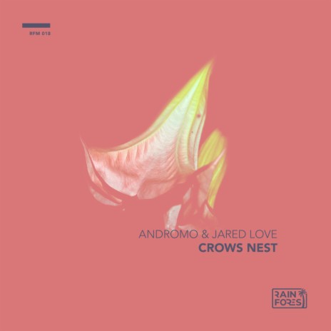Crows Nest (Radio Edit) ft. Jared Love | Boomplay Music