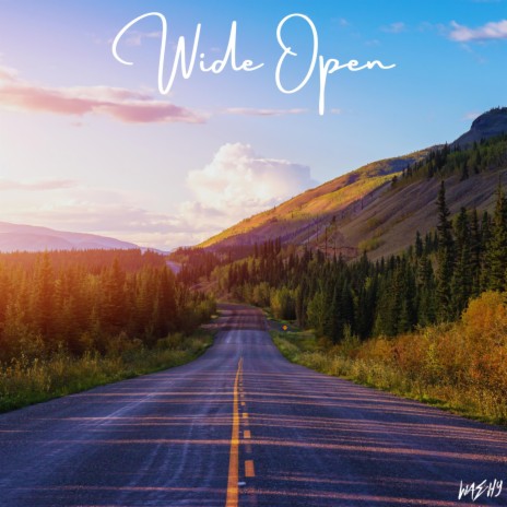 Wide Open | Boomplay Music