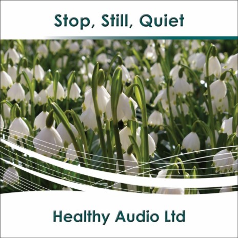 Stop Still Quiet | Boomplay Music