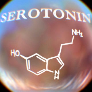 Serotonin lyrics | Boomplay Music