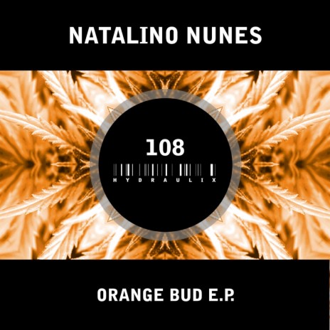 Orange Bud (Original Mix)