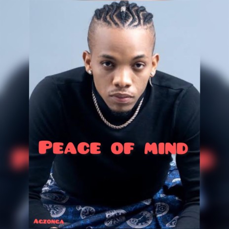 PEACE OF MIND | Boomplay Music