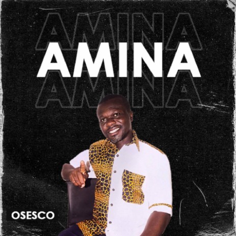 Amina | Boomplay Music