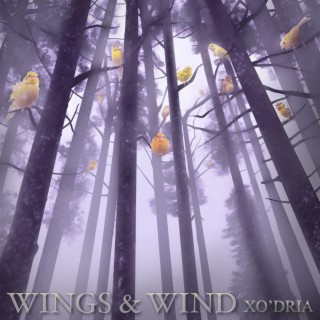 Wings & Wind lyrics | Boomplay Music