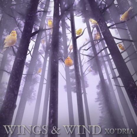 Wings & Wind | Boomplay Music