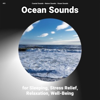 #01 Ocean Sounds for Sleeping, Stress Relief, Relaxation, Well-Being