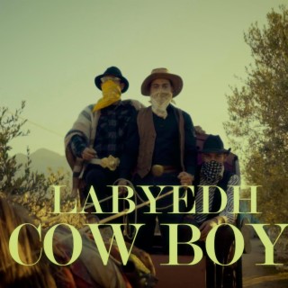 Cow Boy