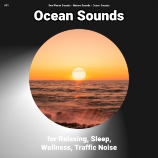 #01 Ocean Sounds for Relaxing, Sleep, Wellness, Traffic Noise