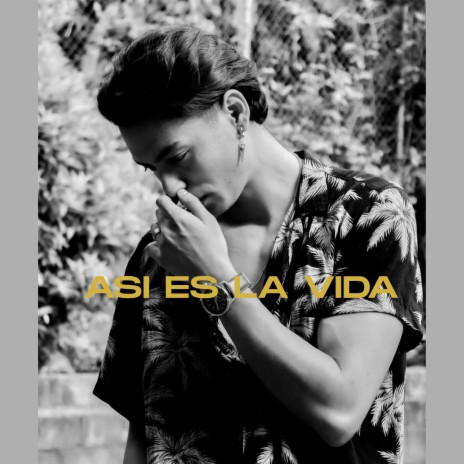 Así es la vida | Boomplay Music