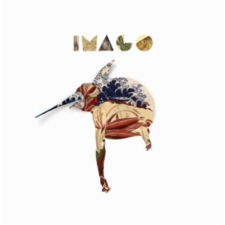 Imago