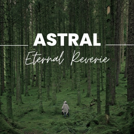 Eternal Reverie | Boomplay Music