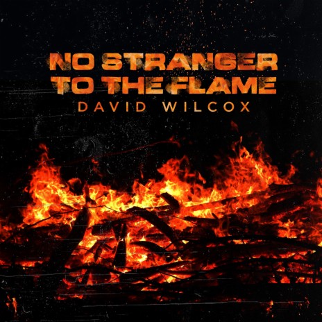 No Stranger to the Flame | Boomplay Music