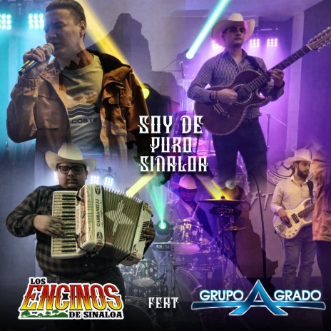 Soy De Puro Sinaloa ft. Grupo Agrado | Boomplay Music