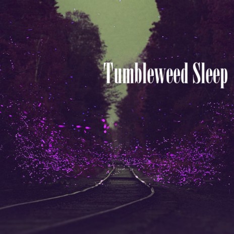 Tumbleweed Sleep | Boomplay Music