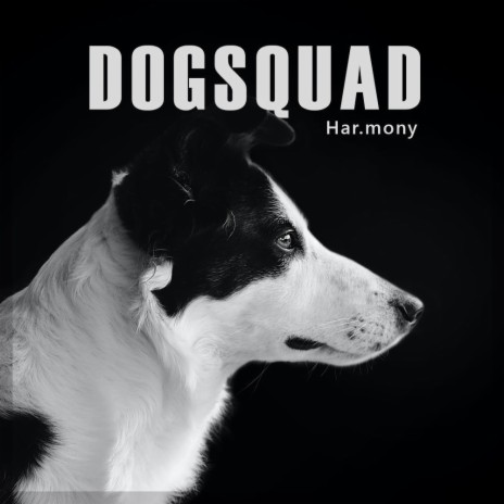 Dogsquad | Boomplay Music