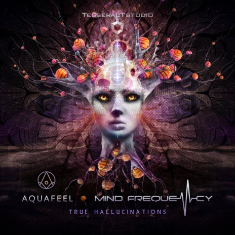 True Hallucinations (Original Mix) ft. Mind Frequency | Boomplay Music