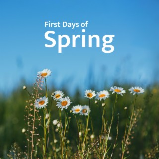 First Days of Spring: Background Jazz for Chill Out Time, Easy Listening, After Hours at Home