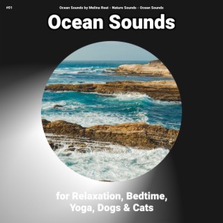 #01 Ocean Sounds for Relaxation, Bedtime, Yoga, Dogs & Cats