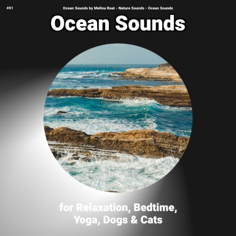 The Sound of Waves ft. Ocean Sounds by Melina Reat & Ocean Sounds | Boomplay Music