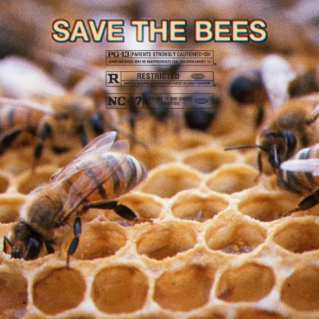 Save The Bees | Boomplay Music