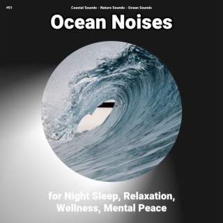 #01 Ocean Noises for Night Sleep, Relaxation, Wellness, Mental Peace