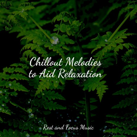 Majestic Melodies | Boomplay Music