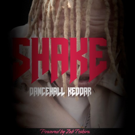 Shake ft. Powered by Zeb Tsikira
