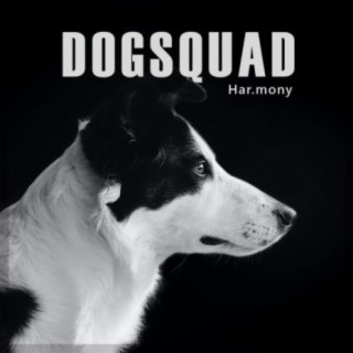 Dogsquad