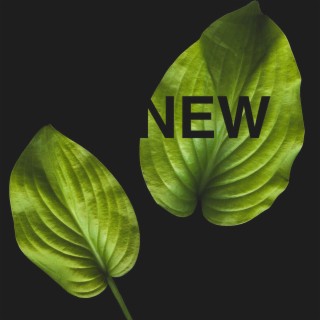 New Leaf