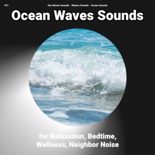 #01 Ocean Waves Sounds for Relaxation, Bedtime, Wellness, Neighbor Noise