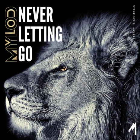 Never Letting Go (Instrumental Mix)