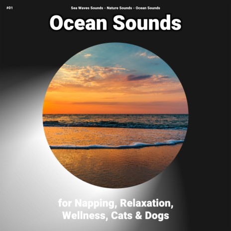 Cool Manifestation ft. Nature Sounds & Ocean Sounds