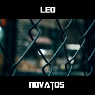 Novatos