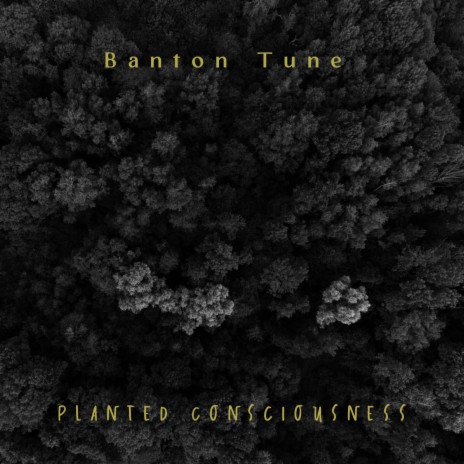 Planted Consciousness | Boomplay Music