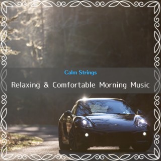 Relaxing & Comfortable Morning Music