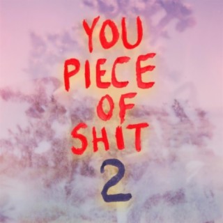 You Piece of Shit 2 (A Self-Help Album)