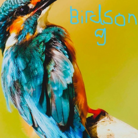 birdsong | Boomplay Music