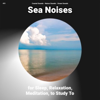 #01 Sea Noises for Sleep, Relaxation, Meditation, to Study To