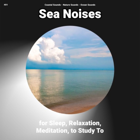 Sea Noises for a Relaxing Atmosphere ft. Coastal Sounds & Ocean Sounds