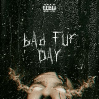 Bad Fur Day