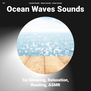#01 Ocean Waves Sounds for Sleeping, Relaxation, Reading, ASMR