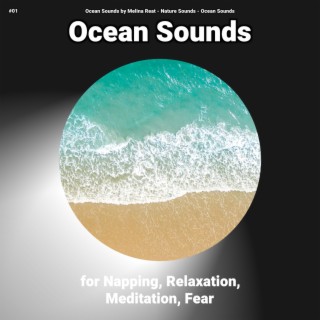 #01 Ocean Sounds for Napping, Relaxation, Meditation, Fear