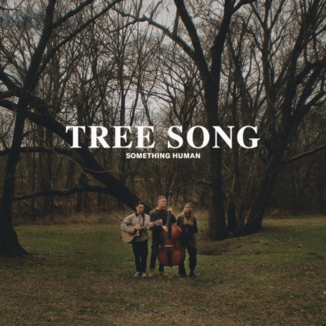 Tree Song | Boomplay Music