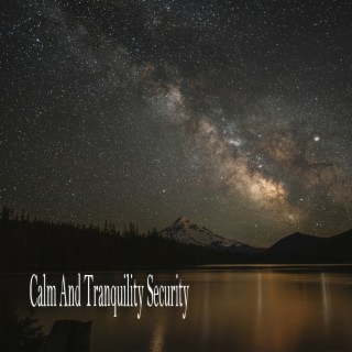 Calm And Tranquility Security