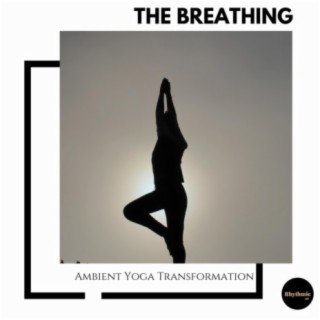 The Breathing: Ambient Yoga Transformation