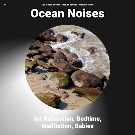 Caressing Ocean Beach ft. Sea Waves Sounds & Ocean Sounds | Boomplay Music